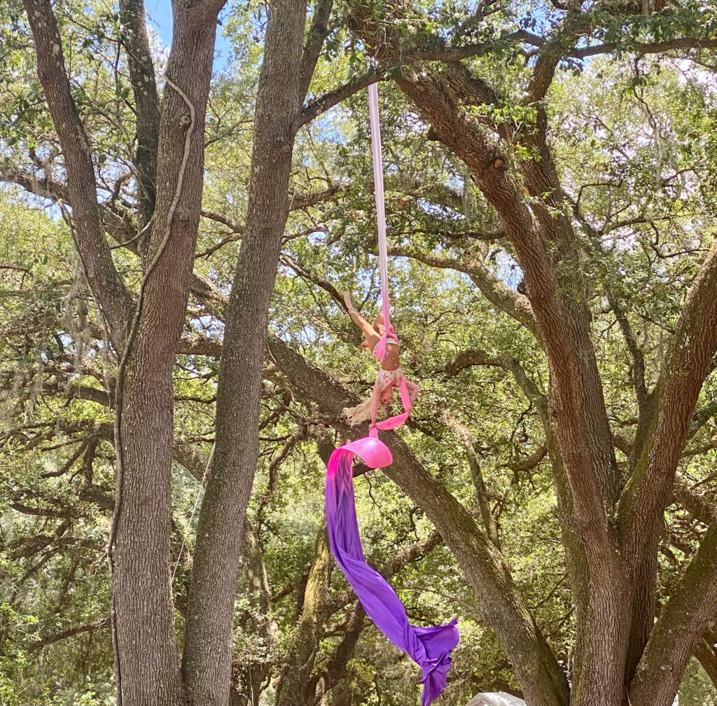 An aerial dancer hangs suspended by colorful silks from a tree at the Bay Area Renn Festival