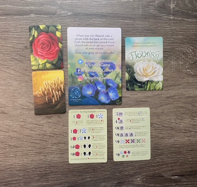 berryplaysgames flourish game review 5