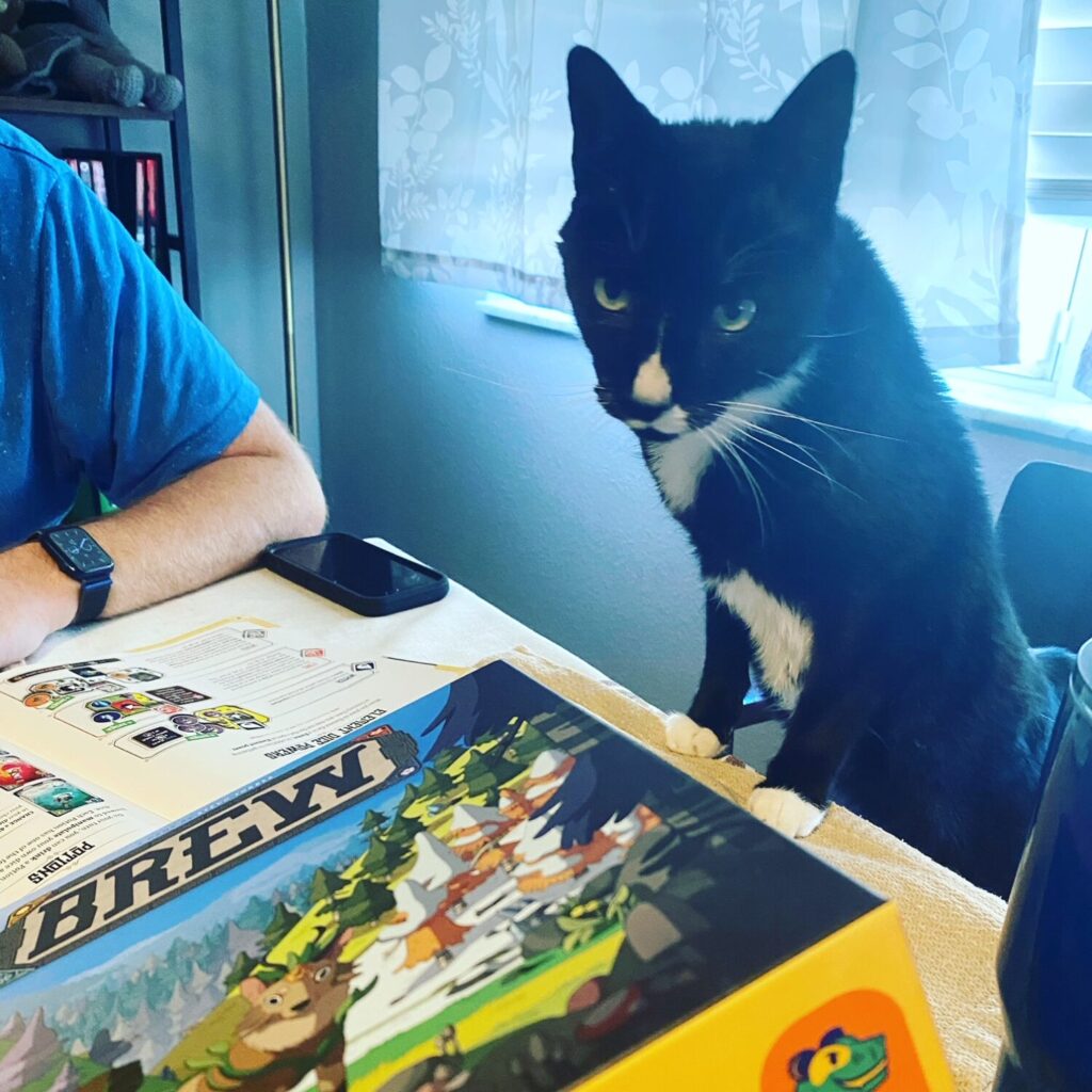 berryplaysgames brew game review 7